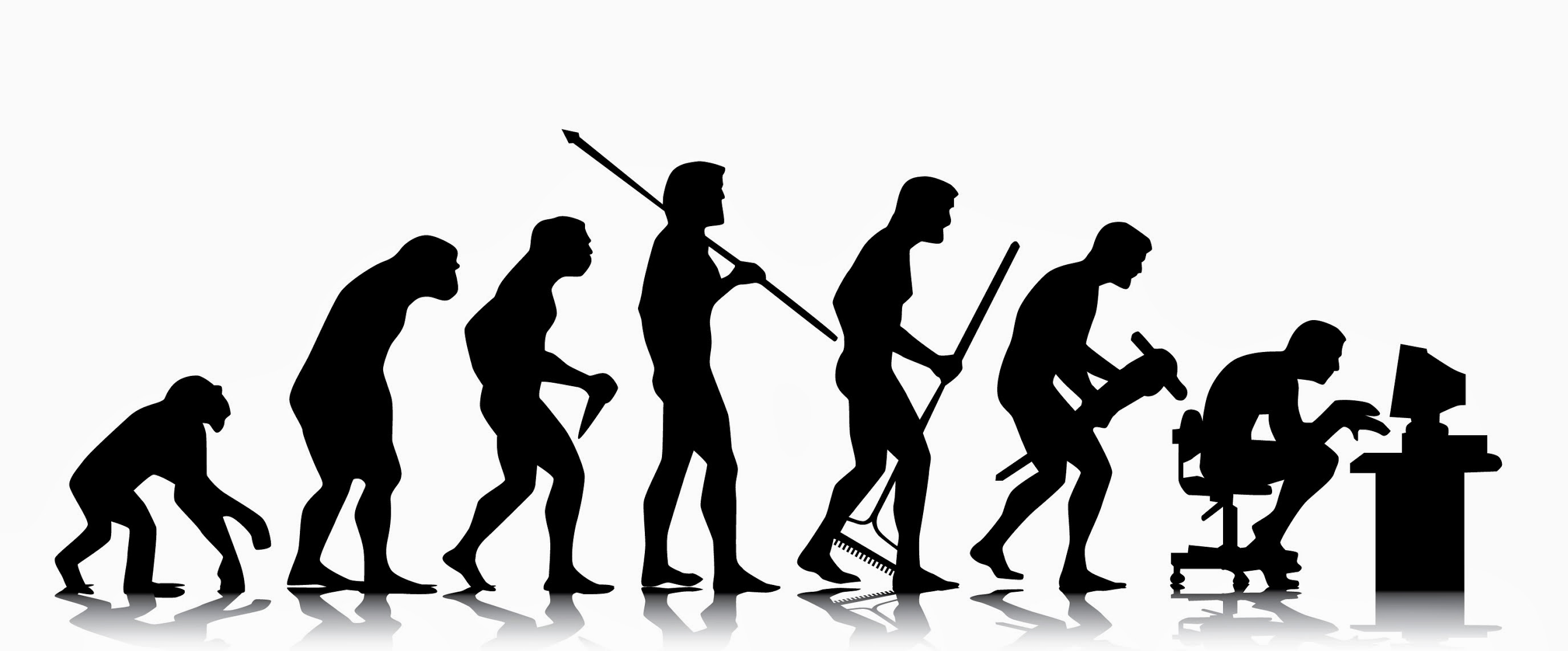Evolúció az irodában