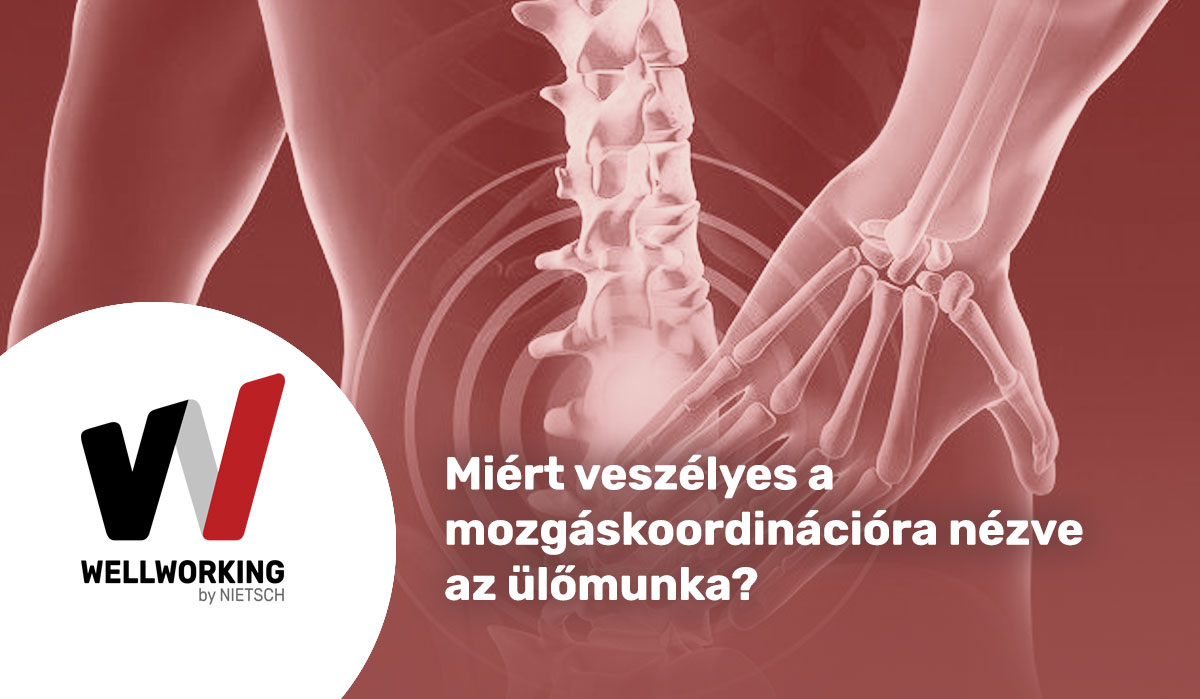 Miért veszélyes a mozgáskoordinációra nézve az ülőmunka?