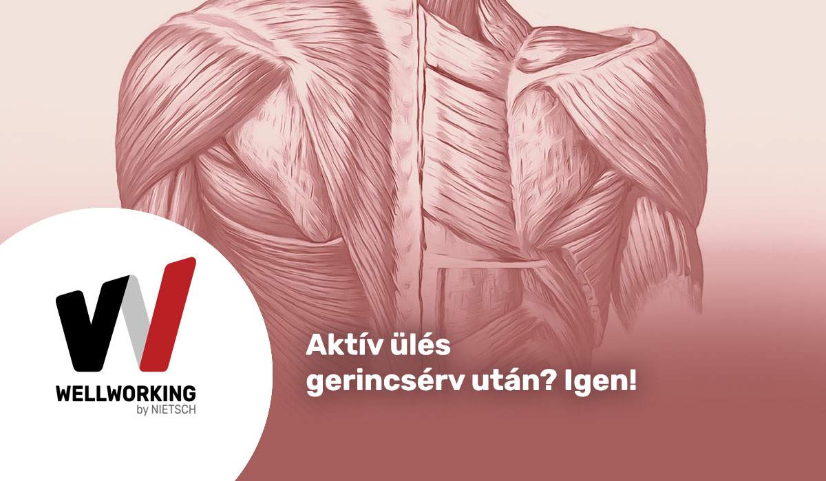 Aktív ülés gerincsérv után? Igen!