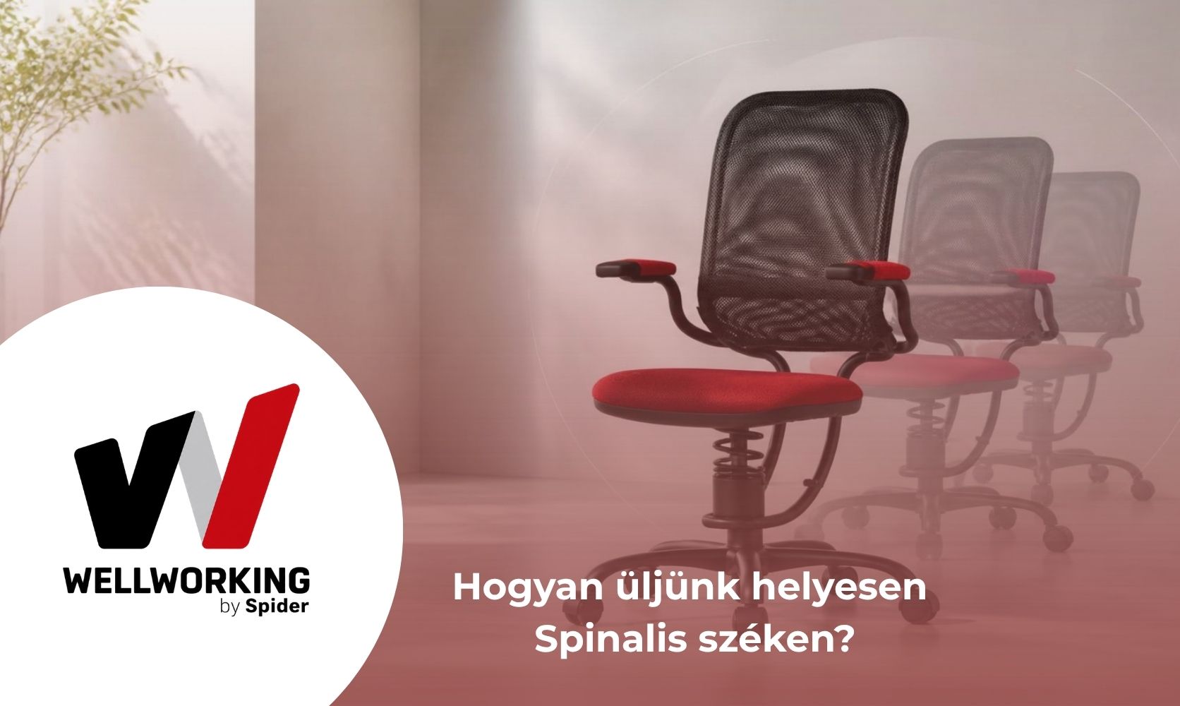 Hogyan üljünk helyesen Spinalis széken?