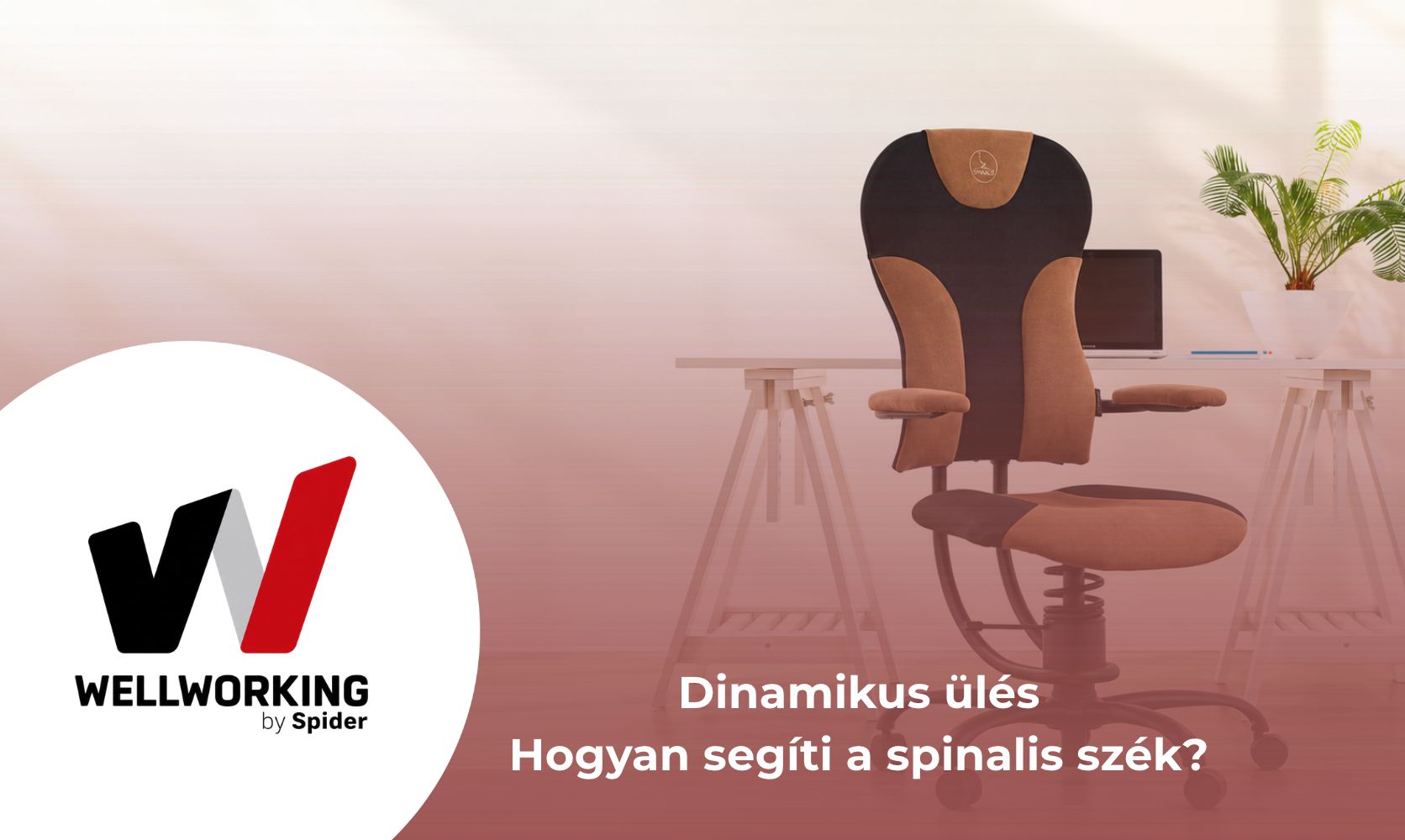 Dinamikus ülés: hogyan segíti ezt a Spinalis szék?