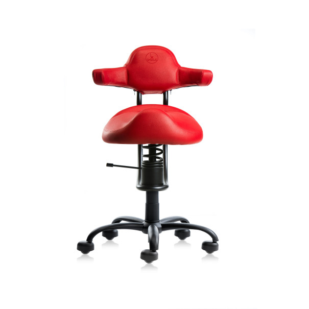 SpinaliS RODEO