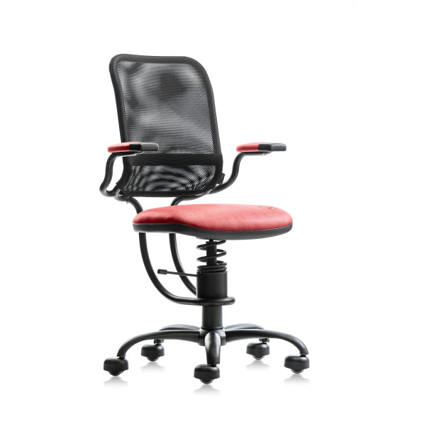 SpinaliS ERGONOMIC