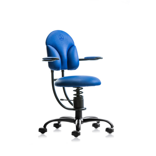 SpinaliS BASIC