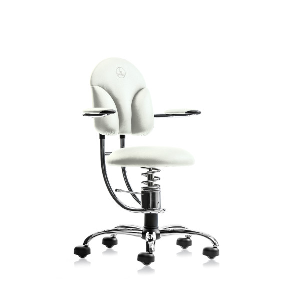 SpinaliS BASIC