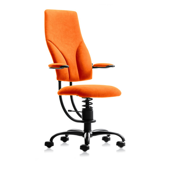 SpinaliS NAVIGATOR
