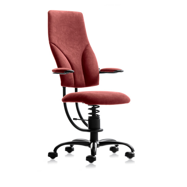 SpinaliS NAVIGATOR