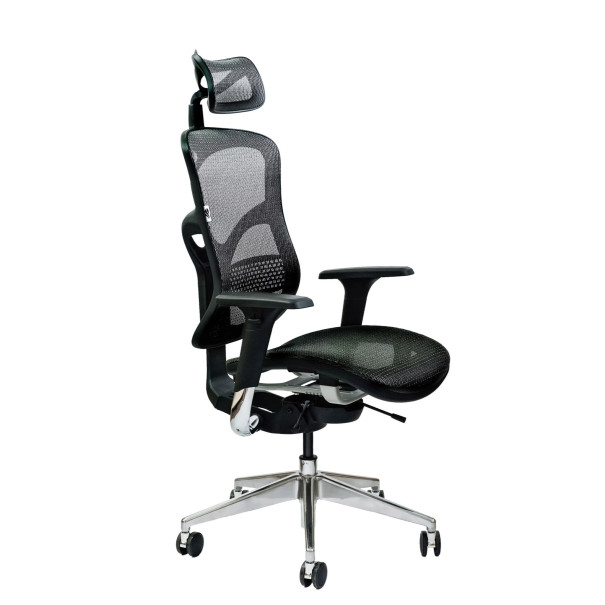 Spinergo BUSINESS
