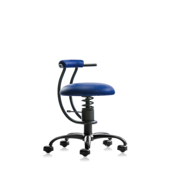 SpinaliS SMART