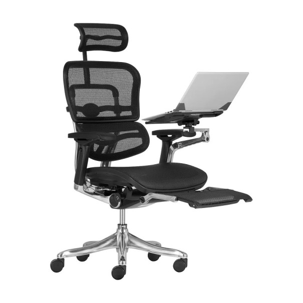 ERGOHUMAN PLUS